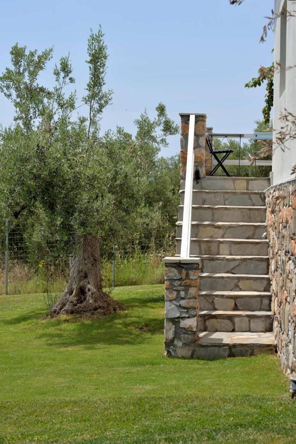 Villa Kladi Nikiti  Extérieur photo